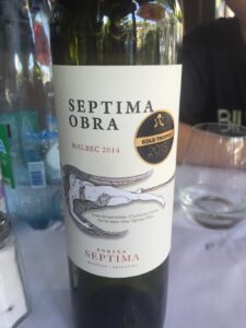 Vinho argentino