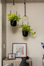 plantas para decorar ambientes